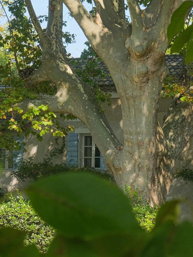 Bed and Breakfast Montjoia LʼIsle-sur-la-Sorgue Esterno foto