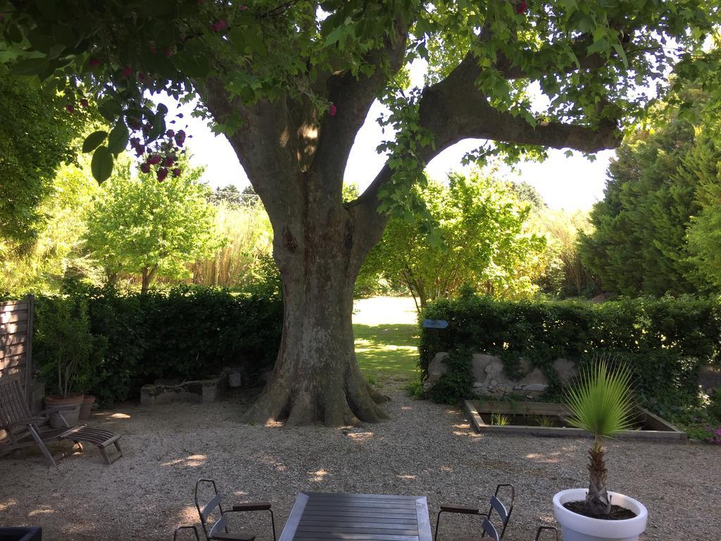 Bed and Breakfast Montjoia LʼIsle-sur-la-Sorgue Esterno foto